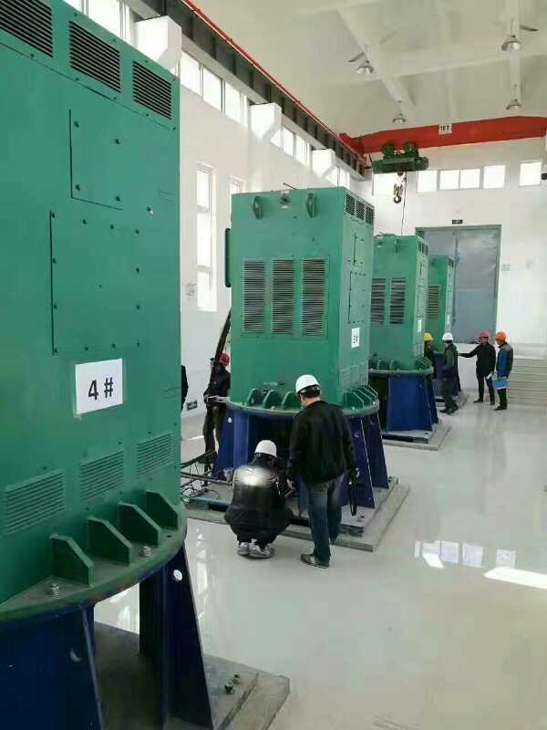 YKK6301-8某污水处理厂使用我厂的立式高压电机安装现场